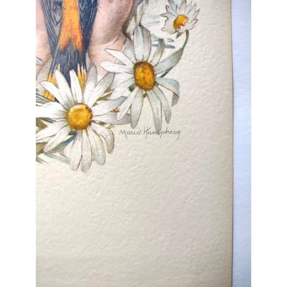 Victorian Art Print Daisy Girl Blackbird Lithograph 1907 Maud Humphrey Original - Picture 3 of 5